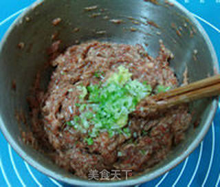 鲜肉包子的做法步骤:17