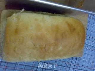 奶油提子吐司的做法步骤:10