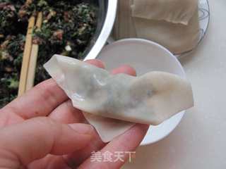 馄饨新吃----蒸荠菜鲜肉馄饨的做法步骤:7