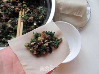 馄饨新吃----蒸荠菜鲜肉馄饨的做法步骤:6