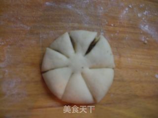枣泥菊花包的做法步骤：8