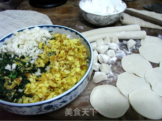 茴香鸡蛋饺子的做法步骤:4