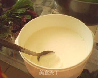 自制老酸奶的做法步骤:11