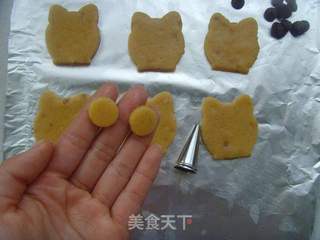 猫头鹰饼干的做法步骤:8