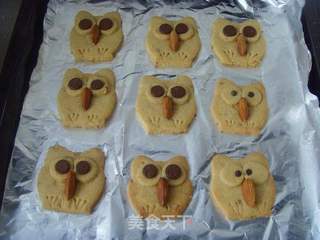 猫头鹰饼干的做法步骤:11