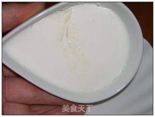 仿版的------青海老酸奶的做法步骤:6