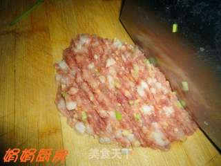 迷你鲜肉小蒸包和小煎包!的做法步骤:2