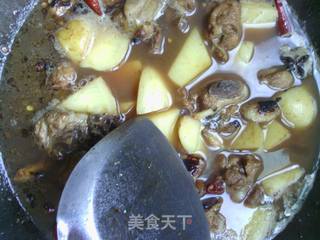 百变土豆——啤酒鸭的做法步骤:10