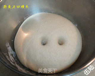燕麦刀切馒头的做法步骤:6