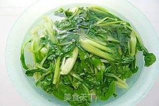 青菜鲜肉大馄饨的做法步骤:3
