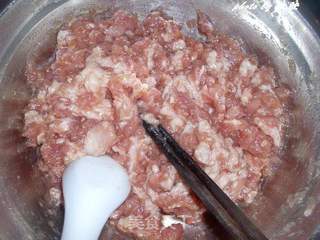 葫芦瓜肉馅饺子的做法步骤:5
