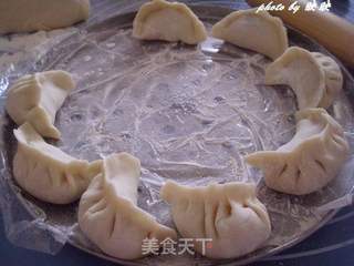 葫芦瓜肉馅饺子的做法步骤:10