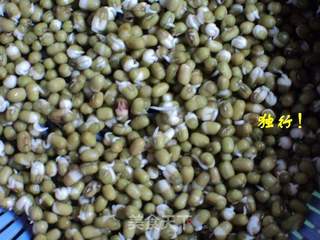 简单安全自己发绿豆芽的做法步骤:5