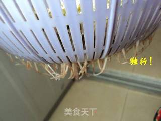 简单安全自己发绿豆芽的做法步骤:6