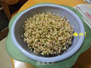 简单安全自己发绿豆芽的做法步骤:8
