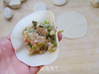 最香不过肉包子——葱香大肉小笼包的做法步骤:10