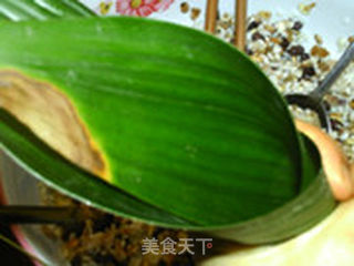 杂粮腊肉粽的做法步骤:13