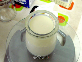 比酸奶厚重比奶酪轻盈——浓稠可爱酸奶酪的做法步骤:4