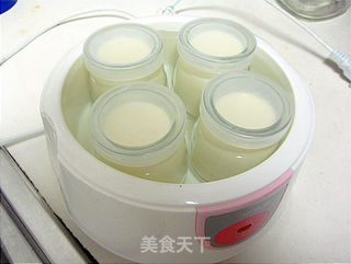 比酸奶厚重比奶酪轻盈——浓稠可爱酸奶酪的做法步骤:6