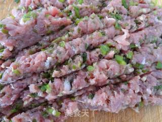 茴香牛肉煎饺的做法步骤：5