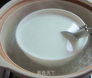 顺德姜撞奶的做法步骤:4
