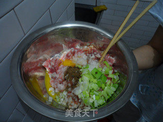 东北风味——猪肉香菇蒸饺的做法步骤:4