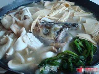 清炖鱼头的做法步骤:4