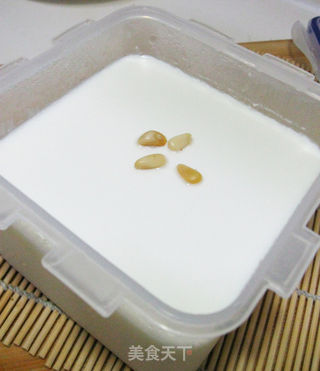 简单做酸奶的做法步骤:5