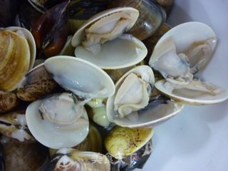 丝瓜文蛤饼的做法步骤：4