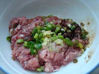 葱香千层肉饼的做法步骤:5