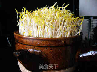 砂锅生绿豆芽的做法步骤:11