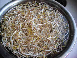 砂锅生绿豆芽的做法步骤:14