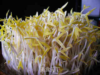 砂锅生绿豆芽的做法步骤:12