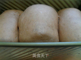 巧克力吐司(汤种法)的做法步骤:15