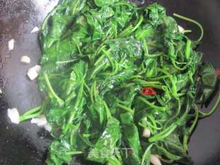简单的夏日小菜----蒜蓉空心菜的做法步骤:6