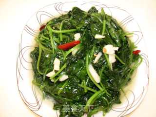 简单的夏日小菜----蒜蓉空心菜的做法步骤:7