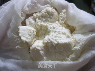 自制奶酪的做法步骤:5