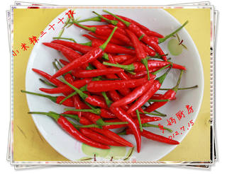 自制爽口下饭万用牛肉芝麻酱的做法步骤:2