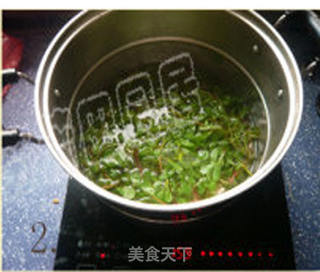 纯天然绿色时尚蔬菜——蒜蓉马齿苋的做法步骤:2