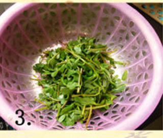 纯天然绿色时尚蔬菜——蒜蓉马齿苋的做法步骤：3