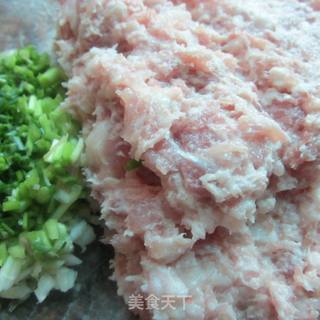 蔬菜肉饺---------蔬菜是人们每天不可缺少的食物的做法步骤：6