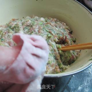 蔬菜肉饺---------蔬菜是人们每天不可缺少的食物的做法步骤：12