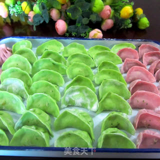 蔬菜肉饺---------蔬菜是人们每天不可缺少的食物的做法步骤:14