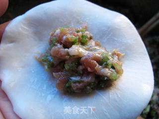芹菜猪肉元宝饺的做法步骤:8
