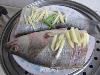 蒜蓉鲈鱼的做法步骤:5
