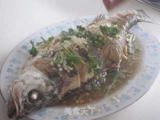 蒜蓉鲈鱼的做法步骤:13