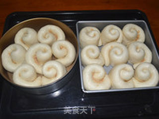 葱香肉松芝士餐包的做法步骤:12