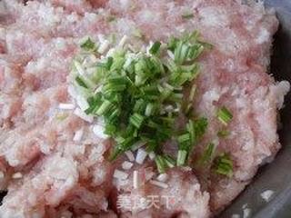 白萝卜猪肉馄饨的做法步骤:6
