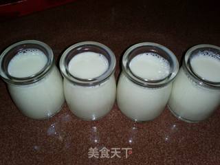 夏天健康消暑佳品--自制老酸奶的做法步骤:4