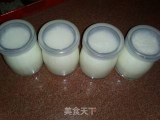 夏天健康消暑佳品--自制老酸奶的做法步骤:5